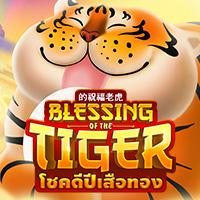 Blessnig of the Tiger