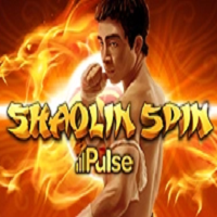 Shaolin Spin