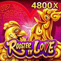 Rooster in Love
