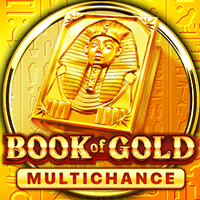 Book of Gold Multichance