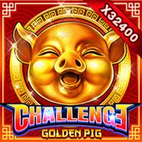 Challenge・golden Pig