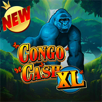 Congo Cash Xl