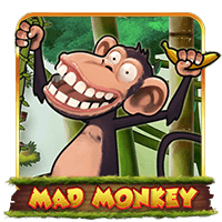 Madmonkey