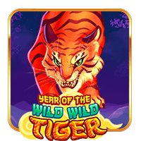 Year of the Wild Wild Tiger
