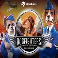 Dog Fighters Their Finest Hour